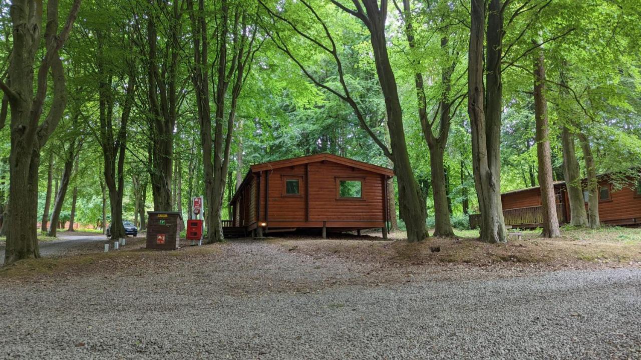 ラウス Bamboo Retreatヴィラ エクステリア 写真